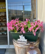 朝ドラ「ばけばけ」がスタートしましたね♪