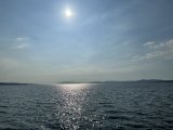 朝の草むしりと、夏の宍道湖♪