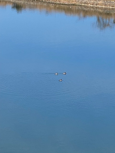 今年もよろしくお願いします。