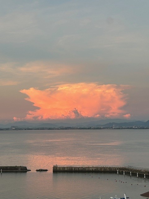 この夏の思い出♪
