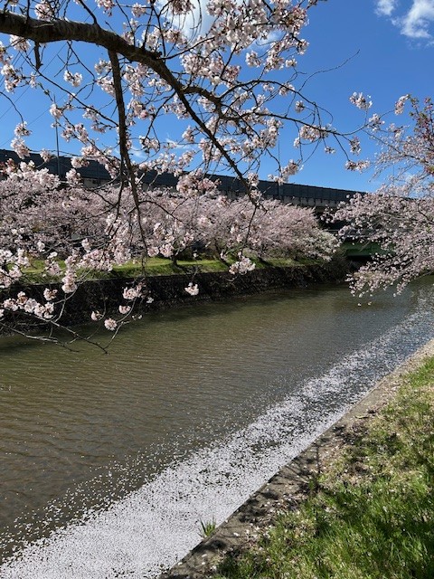 春の景色と新工場移転